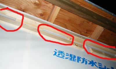 2008_08020084.jpg