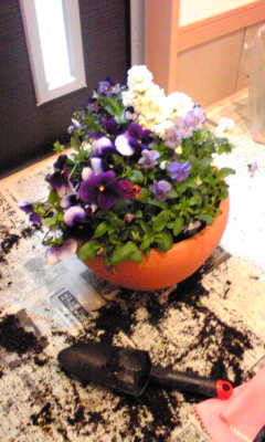 Image014~02.jpg