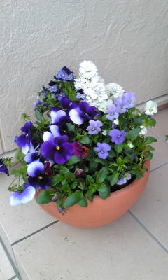Image015~01.jpg