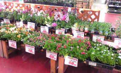Image024~00.jpg