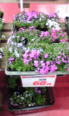 Image025~00.jpg
