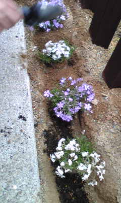 Image026~01.jpg