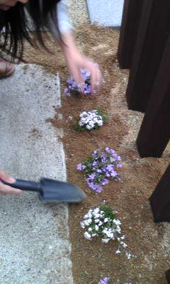 Image027~00.jpg