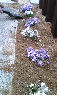 Image028~01.jpg