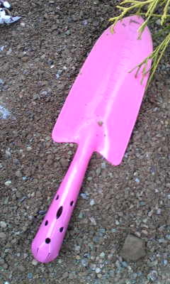 Image029~01.jpg