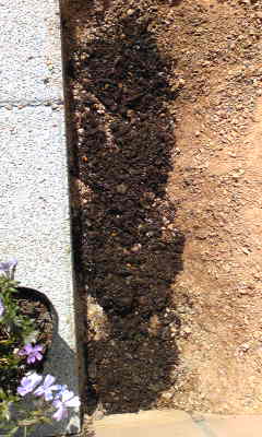 Image030~00.jpg