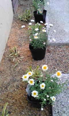 Image030~01.jpg