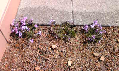 Image031~01.jpg