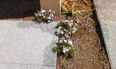 Image032~00.jpg