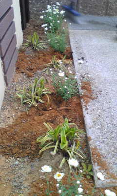 Image035~19.jpg