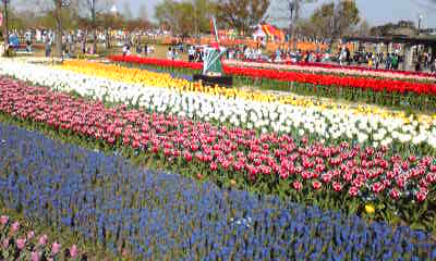 Image035~20.jpg
