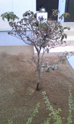 Image036~11.jpg