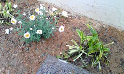 Image037~10.jpg