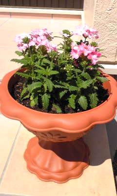 Image037~12.jpg