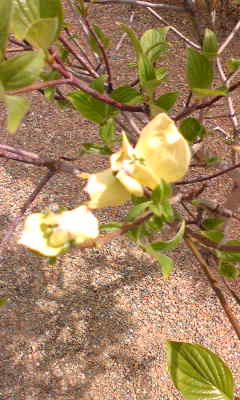 Image038~06.jpg