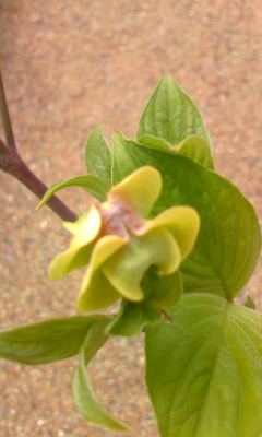 Image039~06.jpg