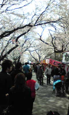 Image040~04.jpg