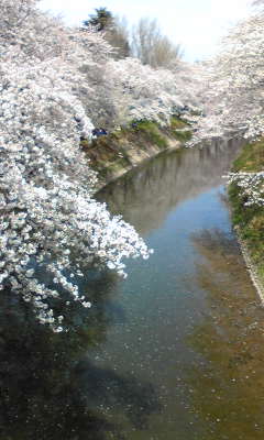 Image041~04.jpg