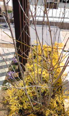 Image041~05.jpg