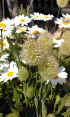 Image056~01.jpg