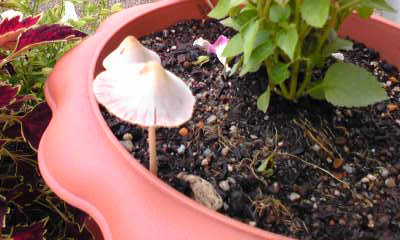 Image122.jpg