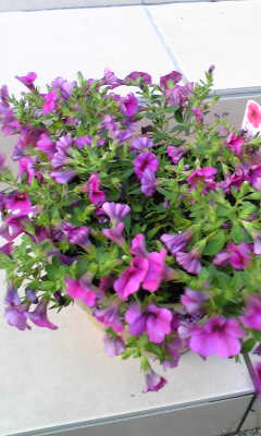 Image072~00.jpg