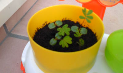 Image072~01.jpg