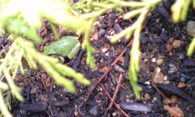Image099~00.jpg
